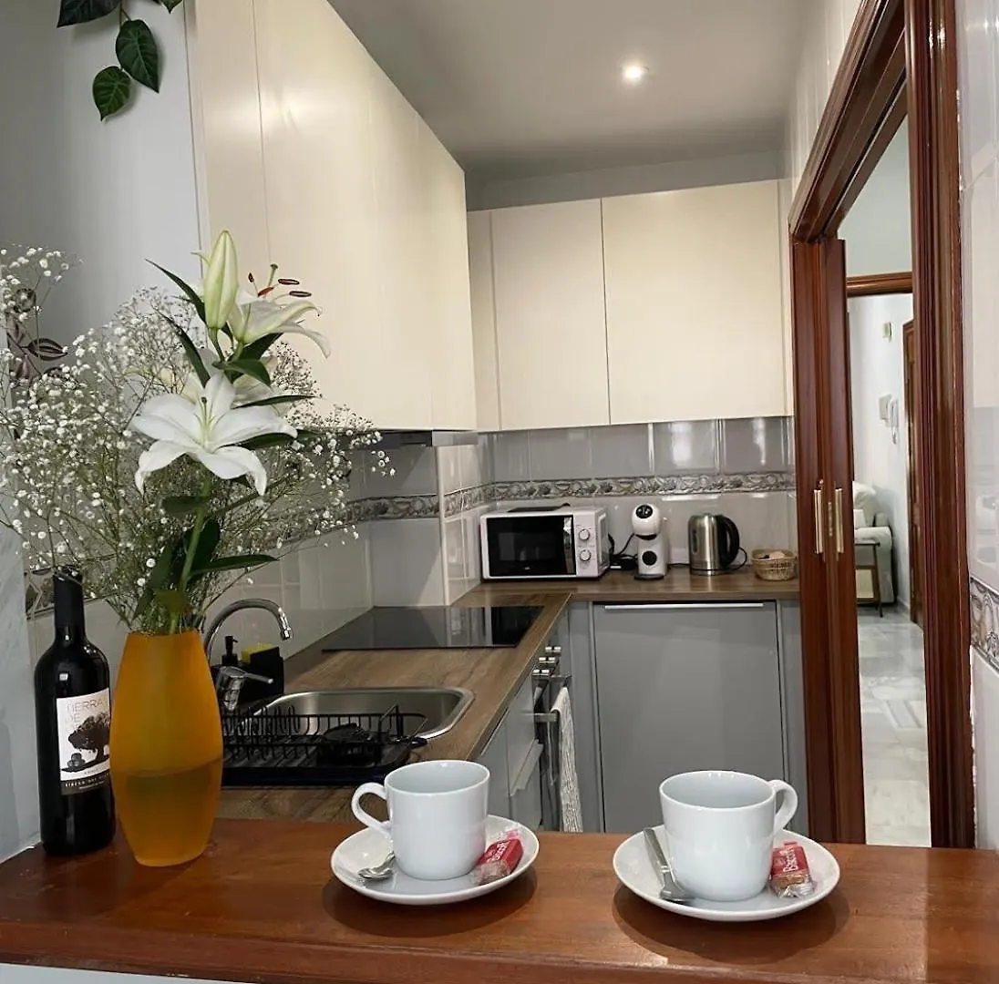 Apartmán Elegancia Y Confort En El Corazon De Màlaga